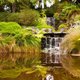 Illustration for article titled The worlds most beautiful gardens are miracles of geoengineering